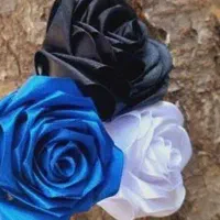 گل های ربانی