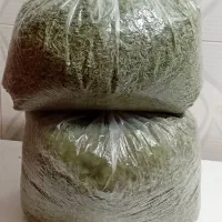 پونه محلی تازه خشک شده برگ هستن اسیاب نشده