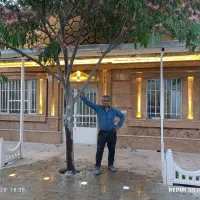 سنگ، سرامیک، نما ، پله