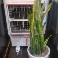 کولر آبی .پرتابل.برفاب