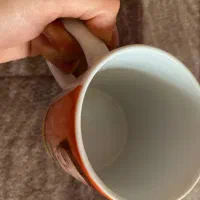 ماگ|ظروف سرو و پذیرایی|اردبیل, |دیوار