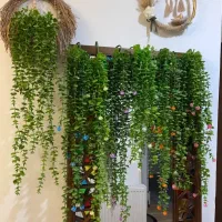 شمشاد ریسه ای