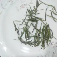 رزماری خشک ۵۰ تومن|خوردنی و آشامیدنی|پیشوا, |دیوار