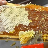 عسل طبیعی خوانسار|خوردنی و آشامیدنی|اصفهان, ملک‌شهر|دیوار