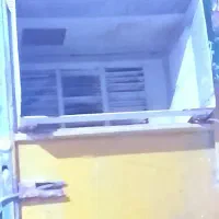 جلد کولر نوو