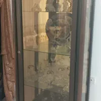 ویترین|بوفه، ویترین، کنسول|قم, بکایی|دیوار