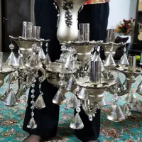 ترک،۱۰شاخه،برنز دودی،