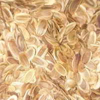 فروش چند تن بذر آنغوزه