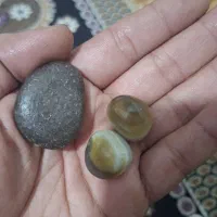 مهره  اصل شرط