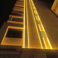 ریسه و پرژکتور