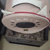 کیف گربه