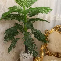 فقط یکی مونده بدون گلدون