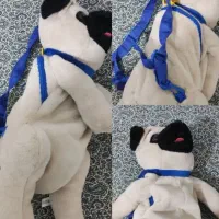 کوله پشتی کودکانه  خارجی