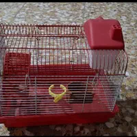 قفس پرنده و همستر|لوازم جانبی حیوانات|لاهیجان, کوی آزادگان|دیوار