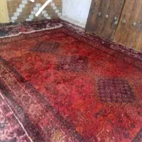 فرش دستباف قشقایی|فرش|آباده, |دیوار