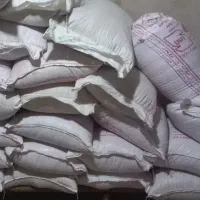 بذر گندم مهرگان