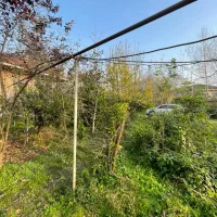 خانه و شالیزار 15هزار متری|فروش خانه و ویلا|رشت, دیلمان|دیوار