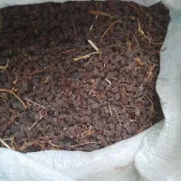 کشمش بیدانه