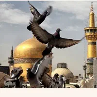 مشهد//تور پراز خاطره زیارتی