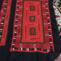 زی استین