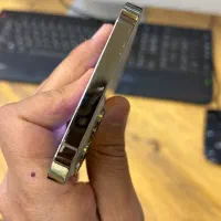 12promax 256/CH gold|موبایل|یزد, |دیوار