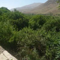 یک-قطعه-باغ-سرسبز-بااب-دائم