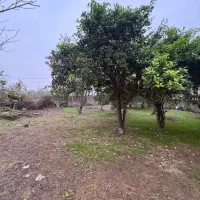 کدداداشی/۷۰۰متر زمین مسکونی دور محصور بر آسفالت
