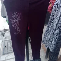 دانه 100