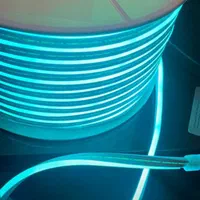 ریسه نئون فلکسی|ریسه و چراغ تزئینی|تهران, فردوسی|دیوار