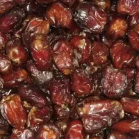 خرما مرداسنگ