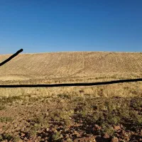 زمین کشاورزی دیم توافقی|فروش زمین و ملک کلنگی|روانسر, |دیوار