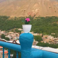 باغ دشت