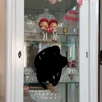 ویترین چوبی دحد نو