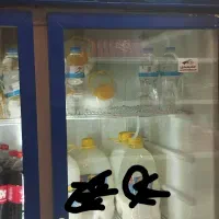 یخچال الکترو استیل