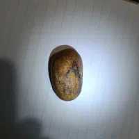 عشیاع قدیمی|کلکسیون اشیاء عتیقه|نیریز, |دیوار