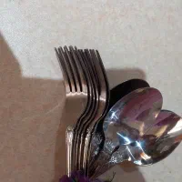 انواع قاشق و چنگال ۶تایی و ۱۲تایی