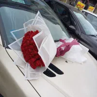 تاج گل جام گل گل فروشی|گل و گیاه طبیعی|تهران, افسریه جنوبی|دیوار