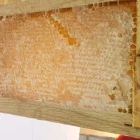 عسل درجه یک فروش