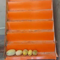 طبق موز ۷پله