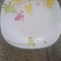 آرکوپال پلو ۱۱۰۰  و پیش دستی ۱۰۵۰