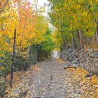 ویلا/ ۴۰۰ متر/ ۳ خواب/ میگون  AMLAK.ARIYANA