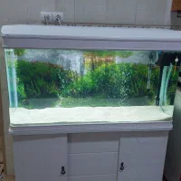 اکواریوم یک متر و بیست سانت دلسا