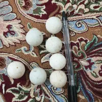 سنگ اسیاب|کلکسیون اشیاء عتیقه|فسا, |دیوار