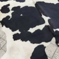 پ وست دباغی شده گاو|فرش|مشهد, هنرستان|دیوار