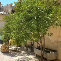 خانه حیاط دار در شیشه گری