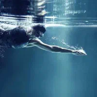 بلیت استخر دلفین