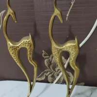 آهو تزیینی یرنز