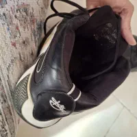 کفش اورجینال|کیف، کفش، کمربند|شاهین‌شهر, گرگاب|دیوار