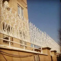 حفاظ روی دیوارتنها تولیدکننده حفاظ شاخگوزنی جنگلی