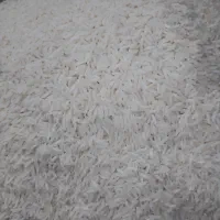 برنج طارم هاشمی //فوق العاده|خوردنی و آشامیدنی|ری, اقدسیه|دیوار